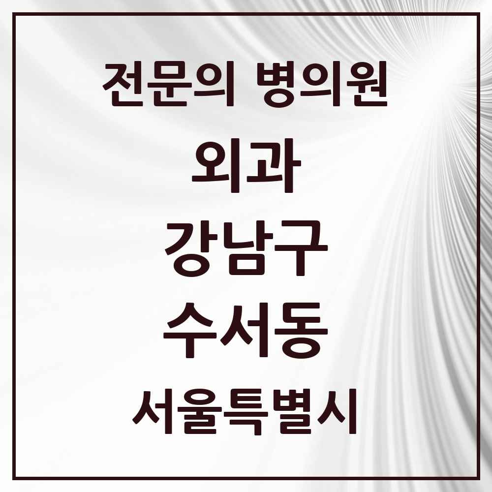 2025 서울특별시 강남구 수서동 외과 전문의 의원·병원 목록 1곳