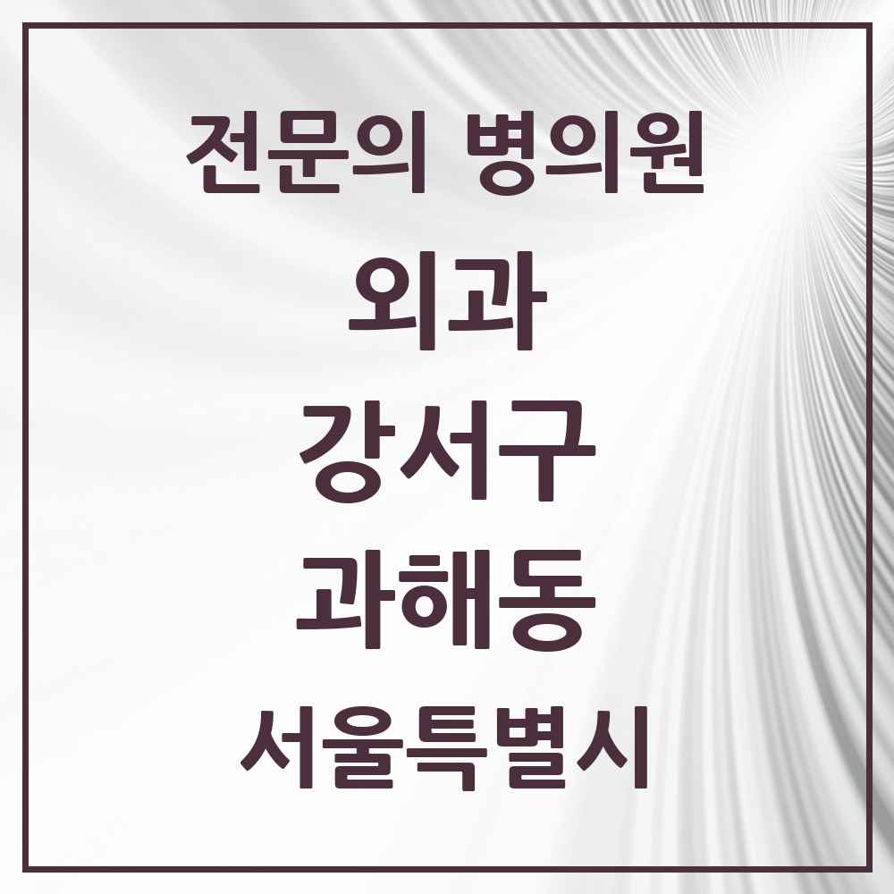2025 서울특별시 강서구 과해동 외과 전문의 의원·병원 목록 1곳