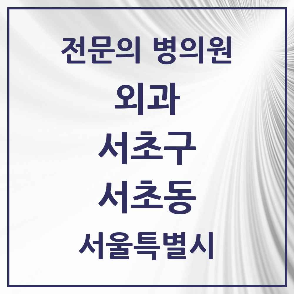 2025 서울특별시 서초구 서초동 외과 전문의 의원·병원 목록 18곳