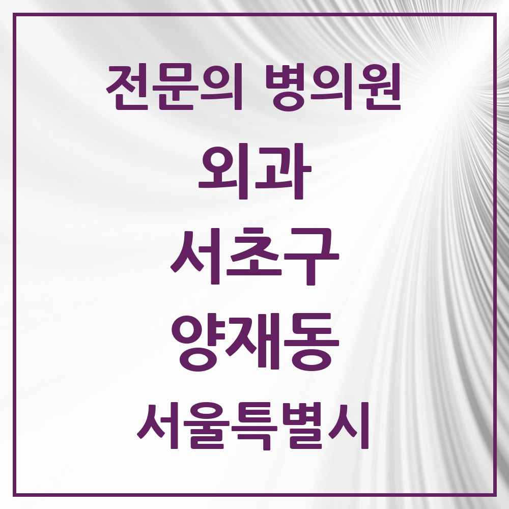 2025 서울특별시 서초구 양재동 외과 전문의 의원·병원 목록 2곳