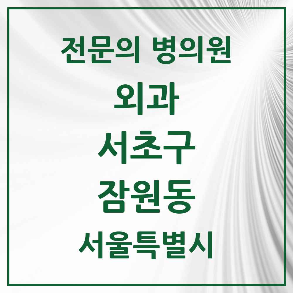 2025 서울특별시 서초구 잠원동 외과 전문의 의원·병원 목록 3곳