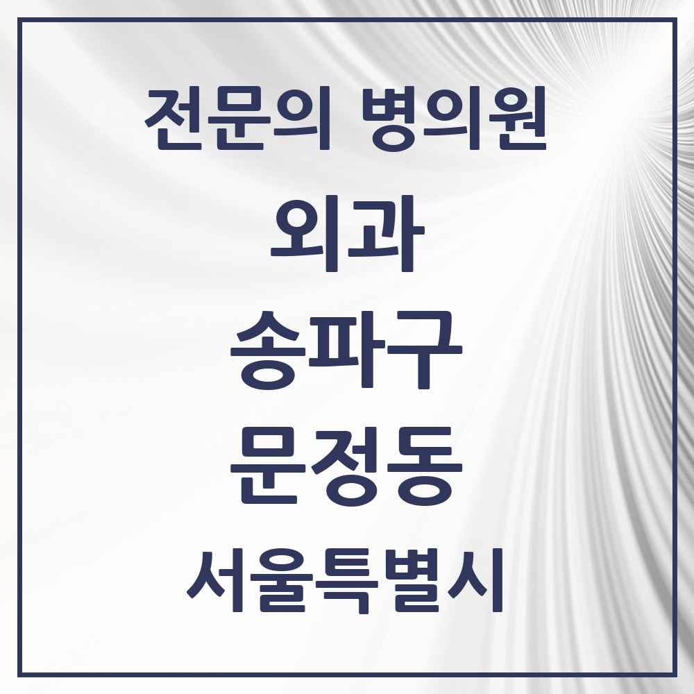 2025 서울특별시 송파구 문정동 외과 전문의 의원·병원 목록 8곳