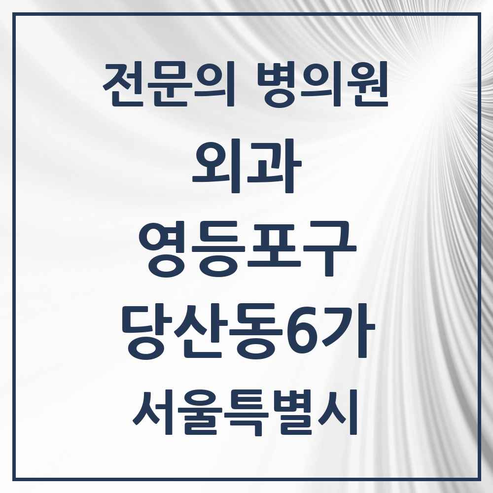 2025 서울특별시 영등포구 당산동6가 외과 전문의 의원·병원 목록 1곳