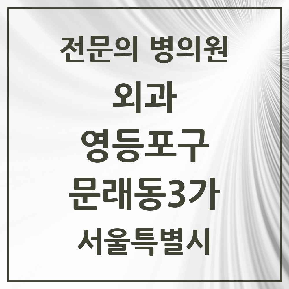 2025 서울특별시 영등포구 문래동3가 외과 전문의 의원·병원 목록 1곳