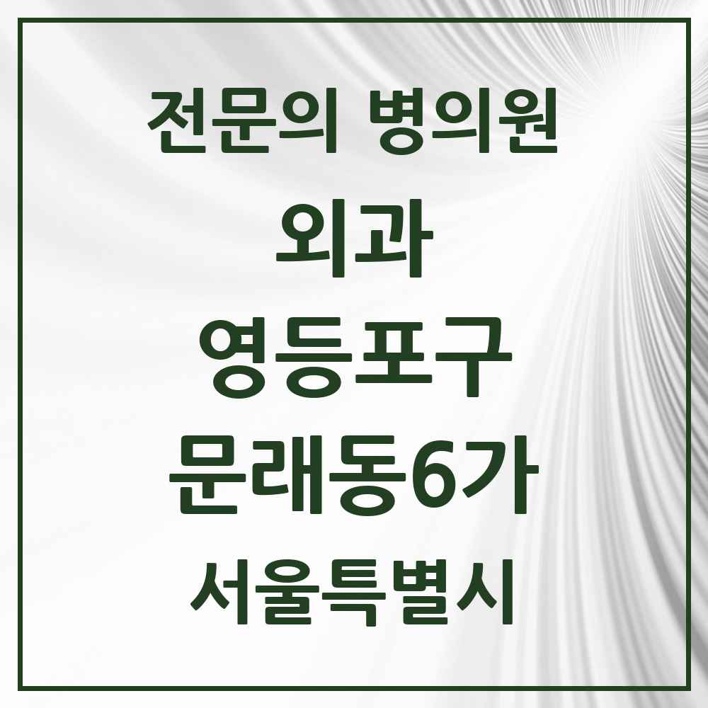2025 서울특별시 영등포구 문래동6가 외과 전문의 의원·병원 목록 1곳