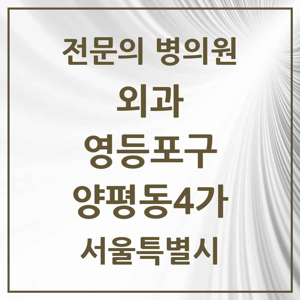 2025 서울특별시 영등포구 양평동4가 외과 전문의 의원·병원 목록 1곳