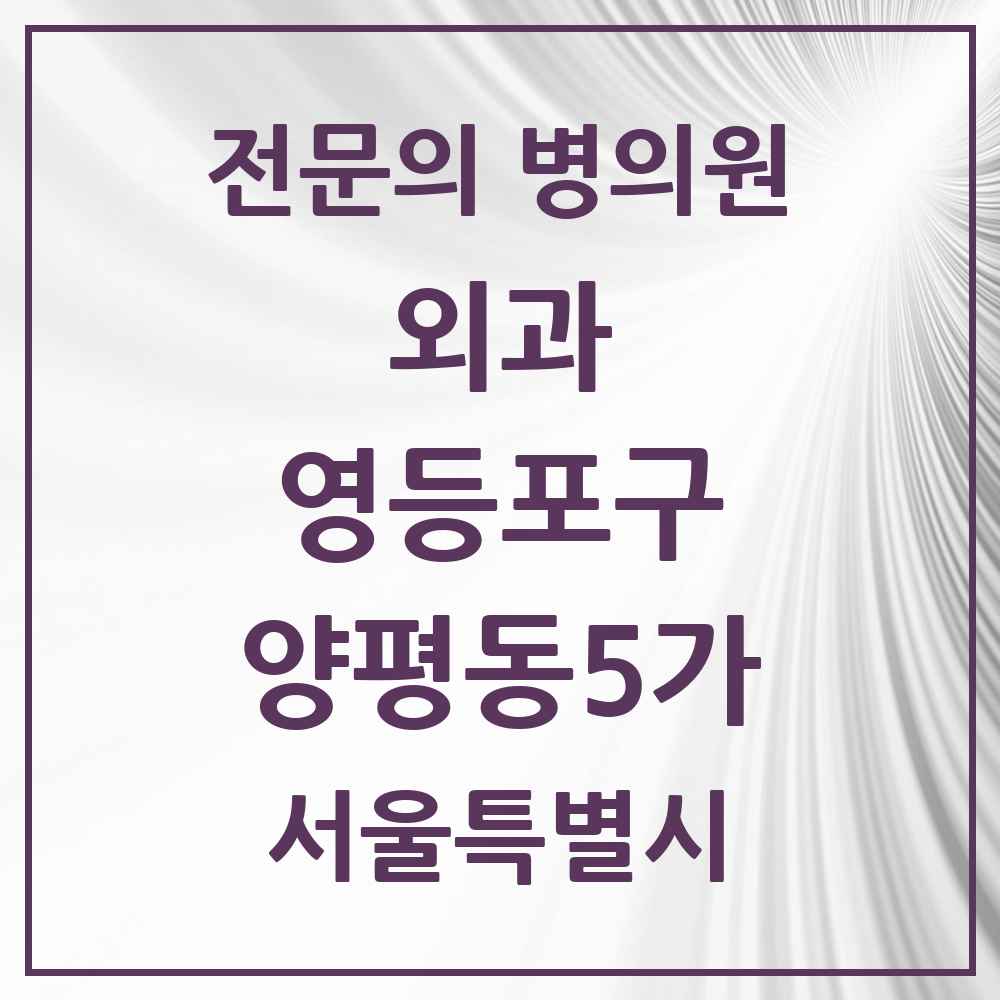 2025 서울특별시 영등포구 양평동5가 외과 전문의 의원·병원 목록 1곳