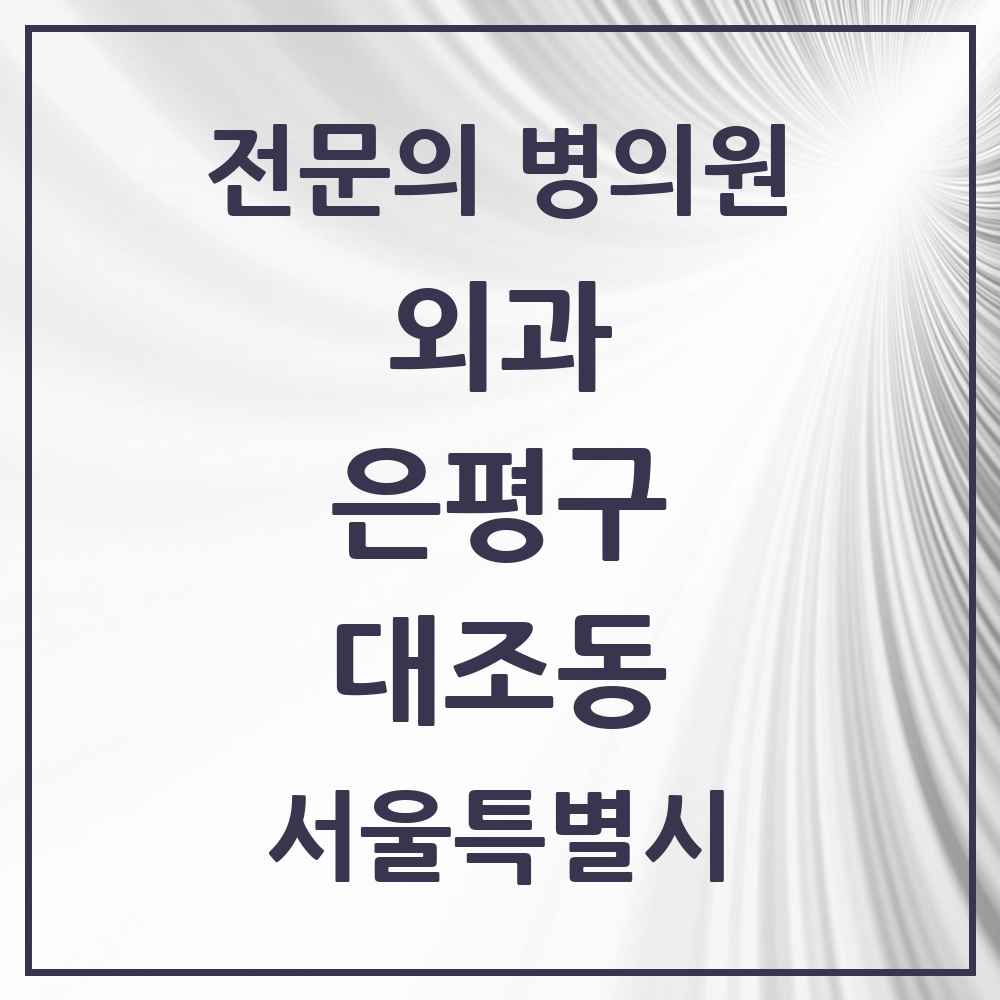 2025 서울특별시 은평구 대조동 외과 전문의 의원·병원 목록 3곳
