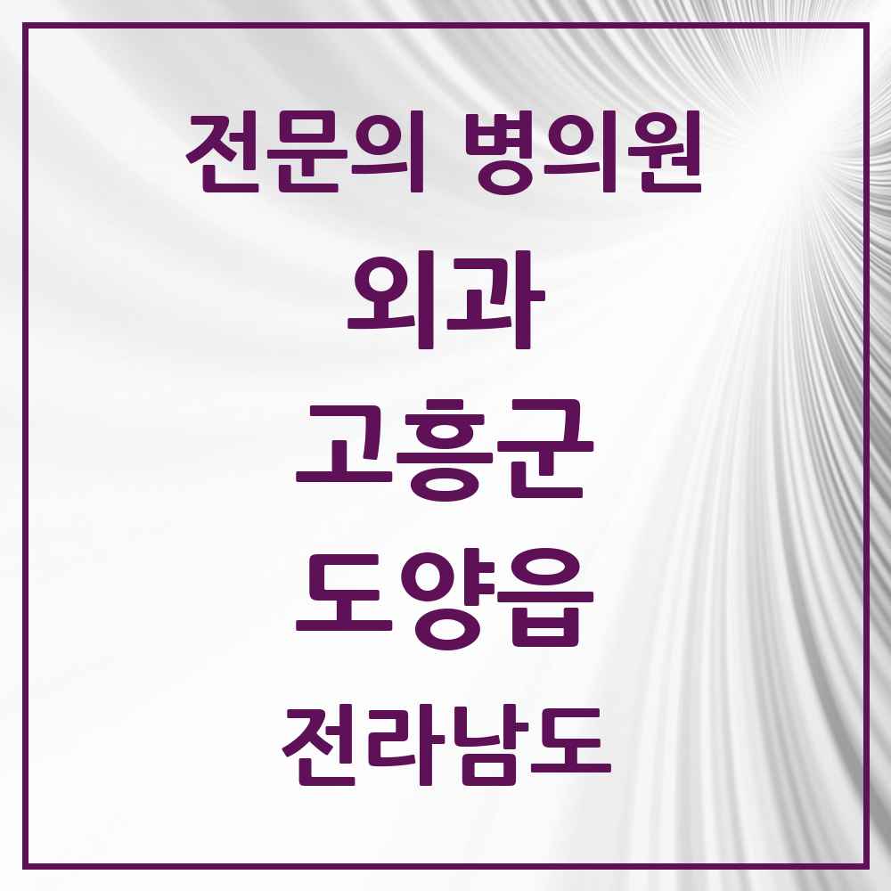 2025 전라남도 고흥군 도양읍 외과 전문의 의원·병원 목록 1곳