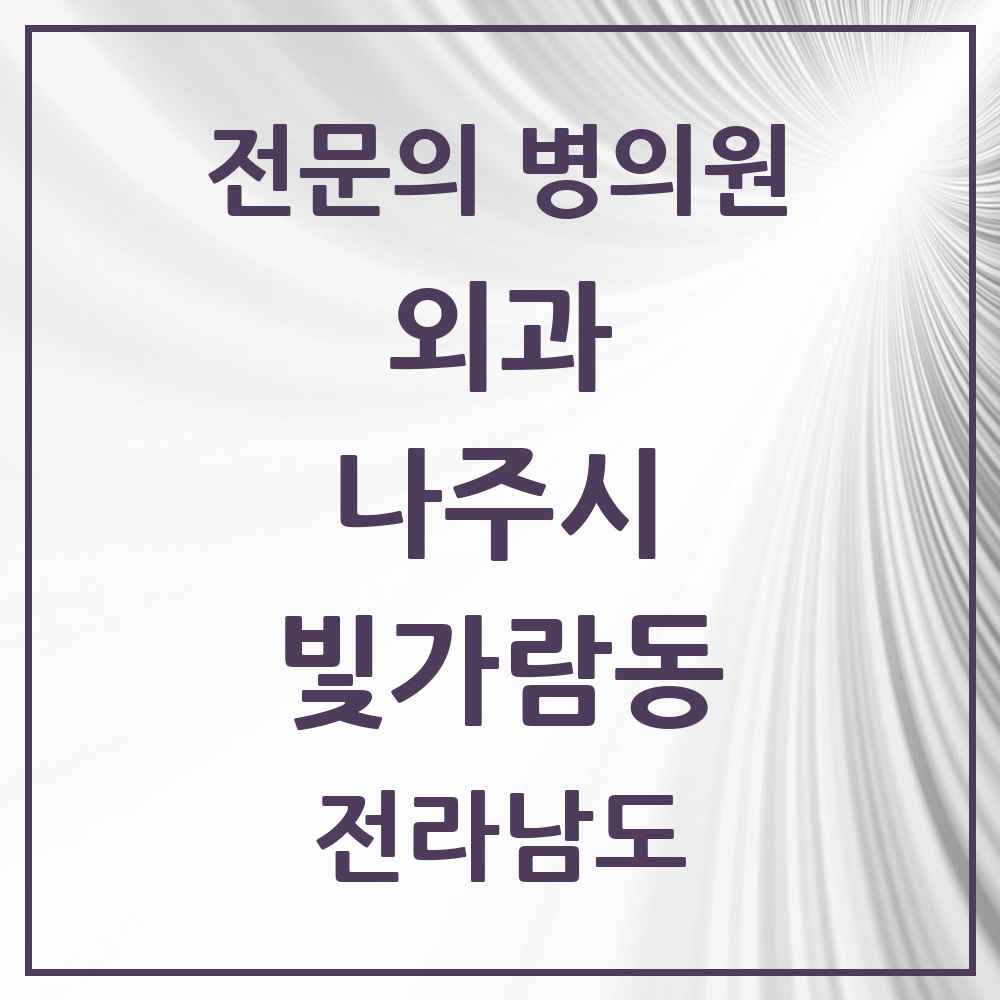 2025 전라남도 나주시 빛가람동 외과 전문의 의원·병원 목록 1곳