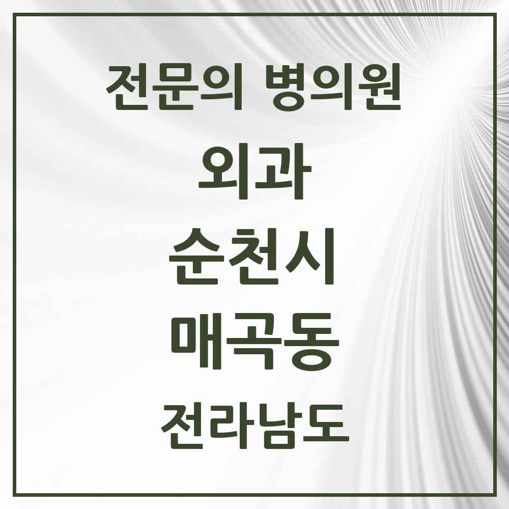 2025 전라남도 순천시 매곡동 외과 전문의 의원·병원 목록 2곳