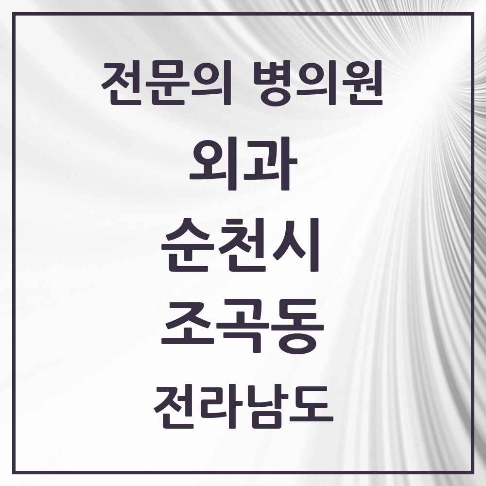 2025 전라남도 순천시 조곡동 외과 전문의 의원·병원 목록 3곳