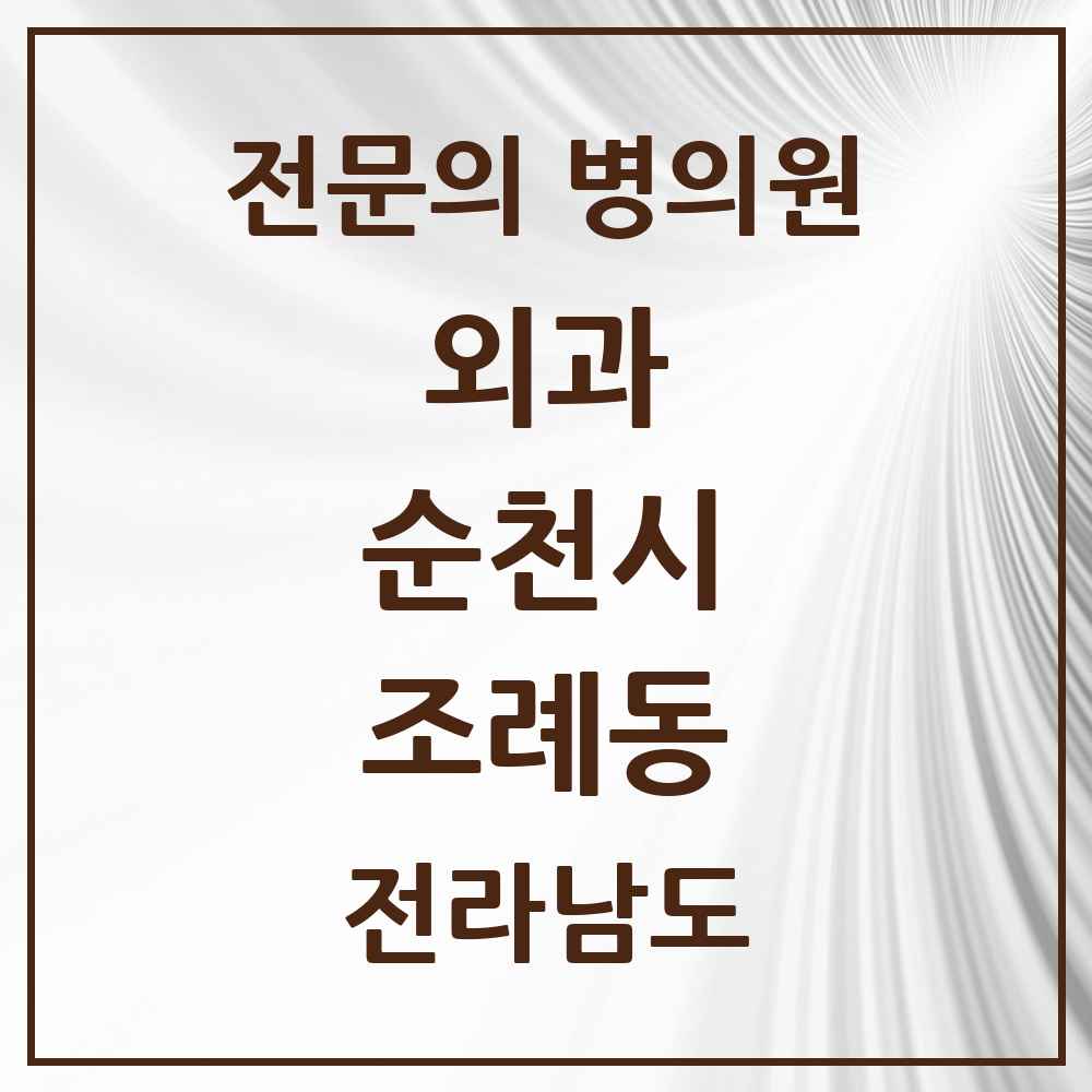 2025 전라남도 순천시 조례동 외과 전문의 의원·병원 목록 7곳