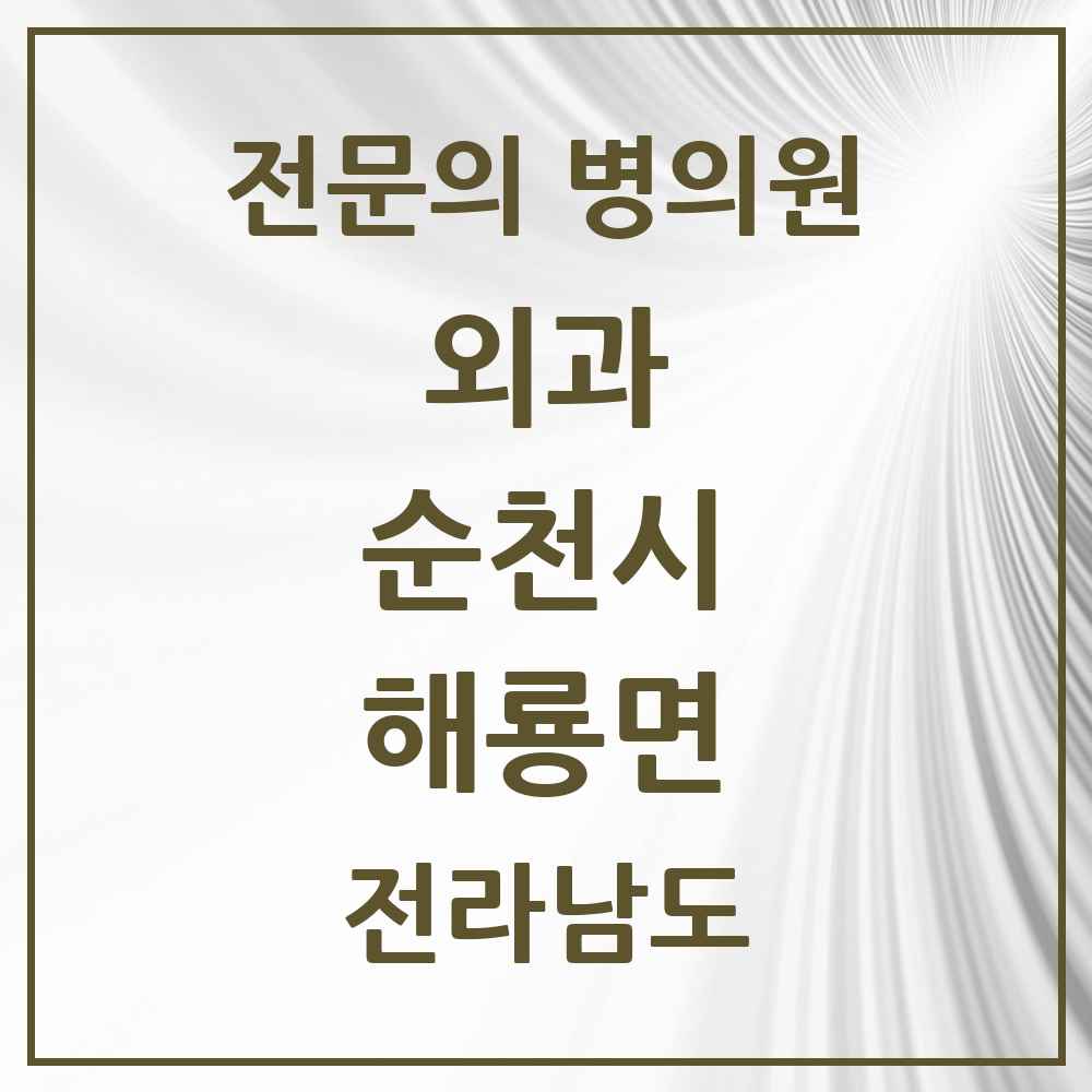 2025 전라남도 순천시 해룡면 외과 전문의 의원·병원 목록 2곳