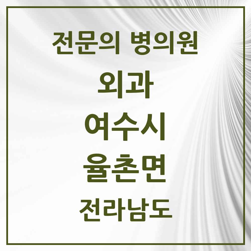 2025 전라남도 여수시 율촌면 외과 전문의 의원·병원 목록 1곳