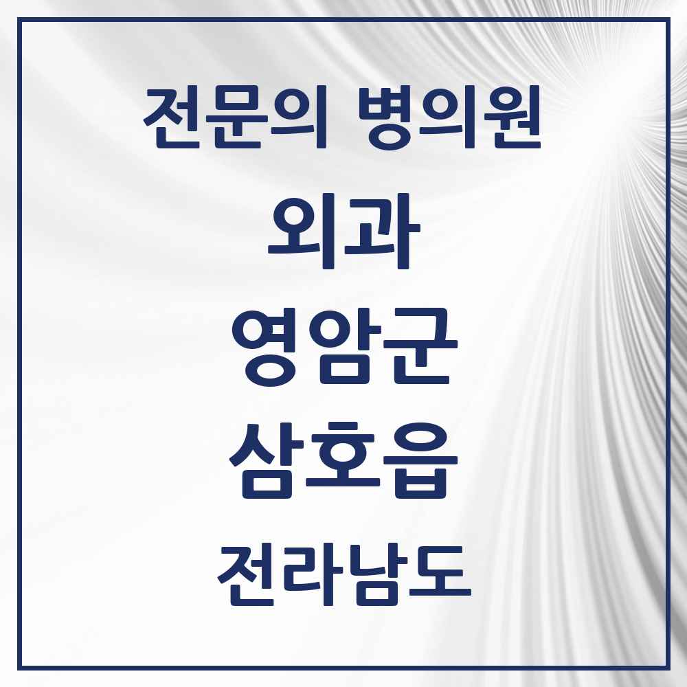 2025 전라남도 영암군 삼호읍 외과 전문의 의원·병원 목록 1곳