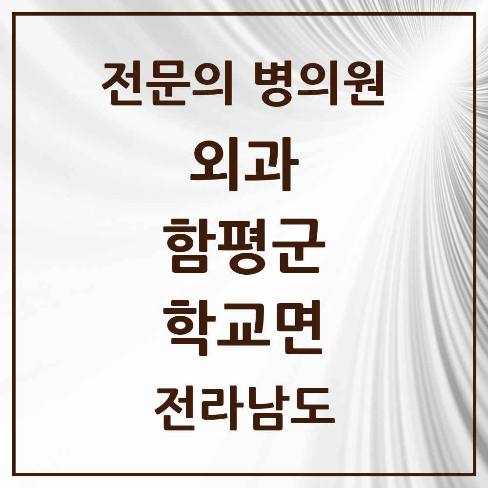 2025 전라남도 함평군 학교면 외과 전문의 의원·병원 목록 1곳