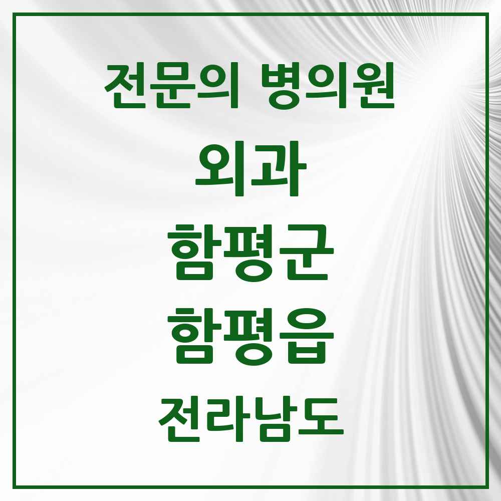 2025 전라남도 함평군 함평읍 외과 전문의 의원·병원 목록 1곳