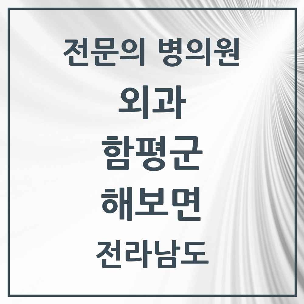 2025 전라남도 함평군 해보면 외과 전문의 의원·병원 목록 1곳