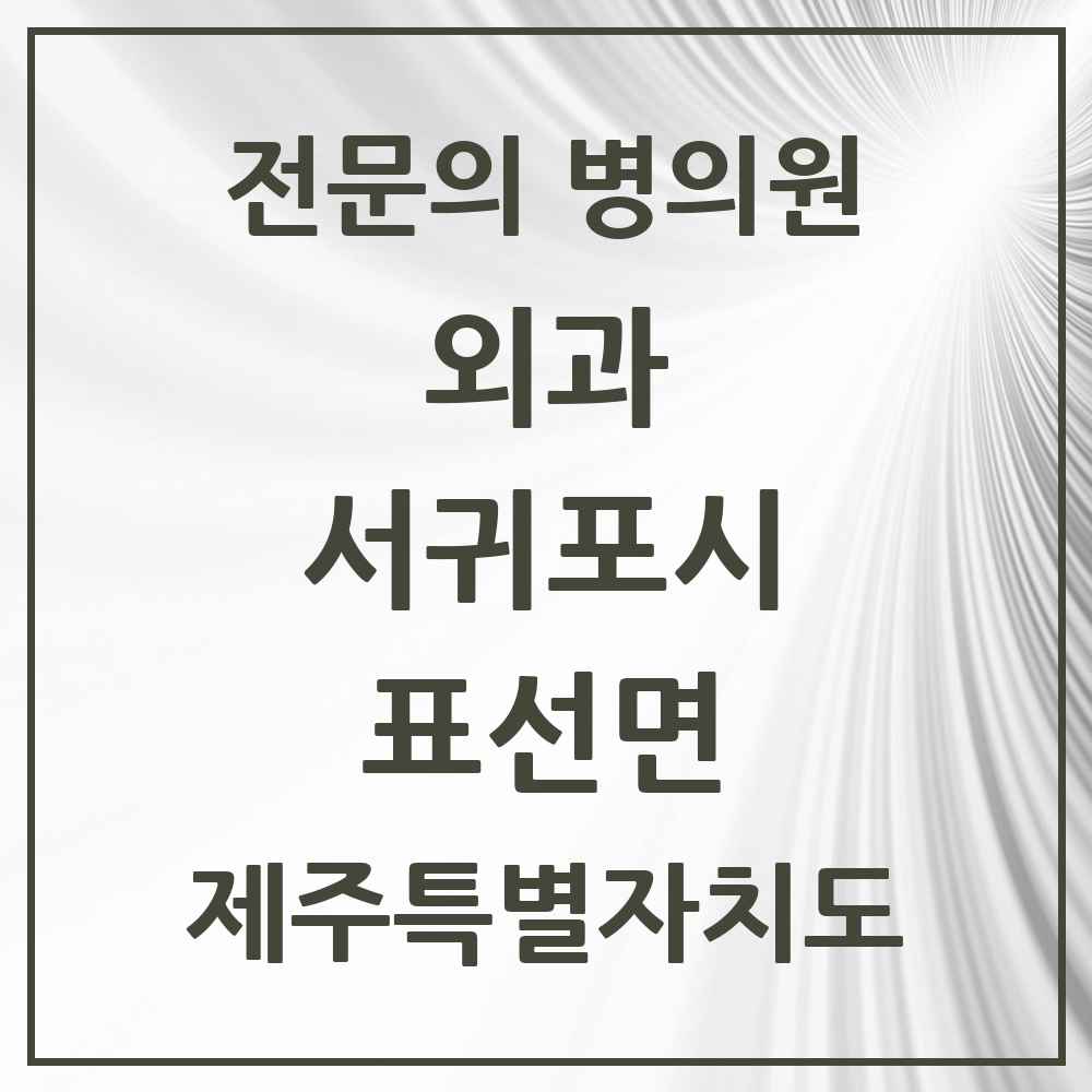 2025 제주특별자치도 서귀포시 표선면 외과 전문의 의원·병원 목록 1곳