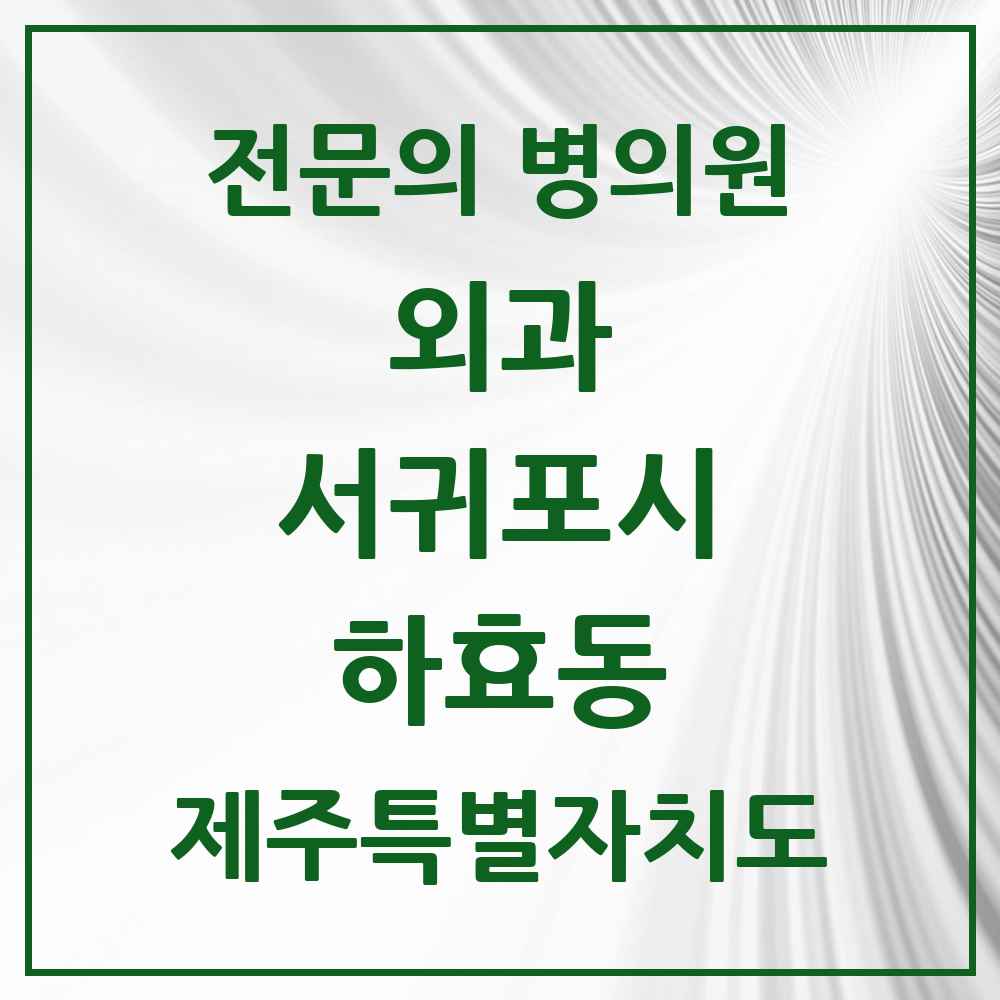 2025 제주특별자치도 서귀포시 하효동 외과 전문의 의원·병원 목록 1곳