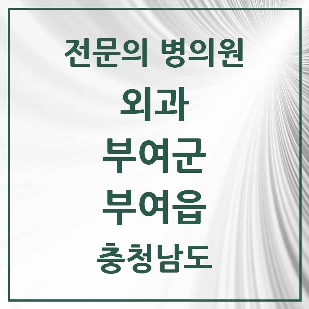 2025 충청남도 부여군 부여읍 외과 전문의 의원·병원 목록 1곳