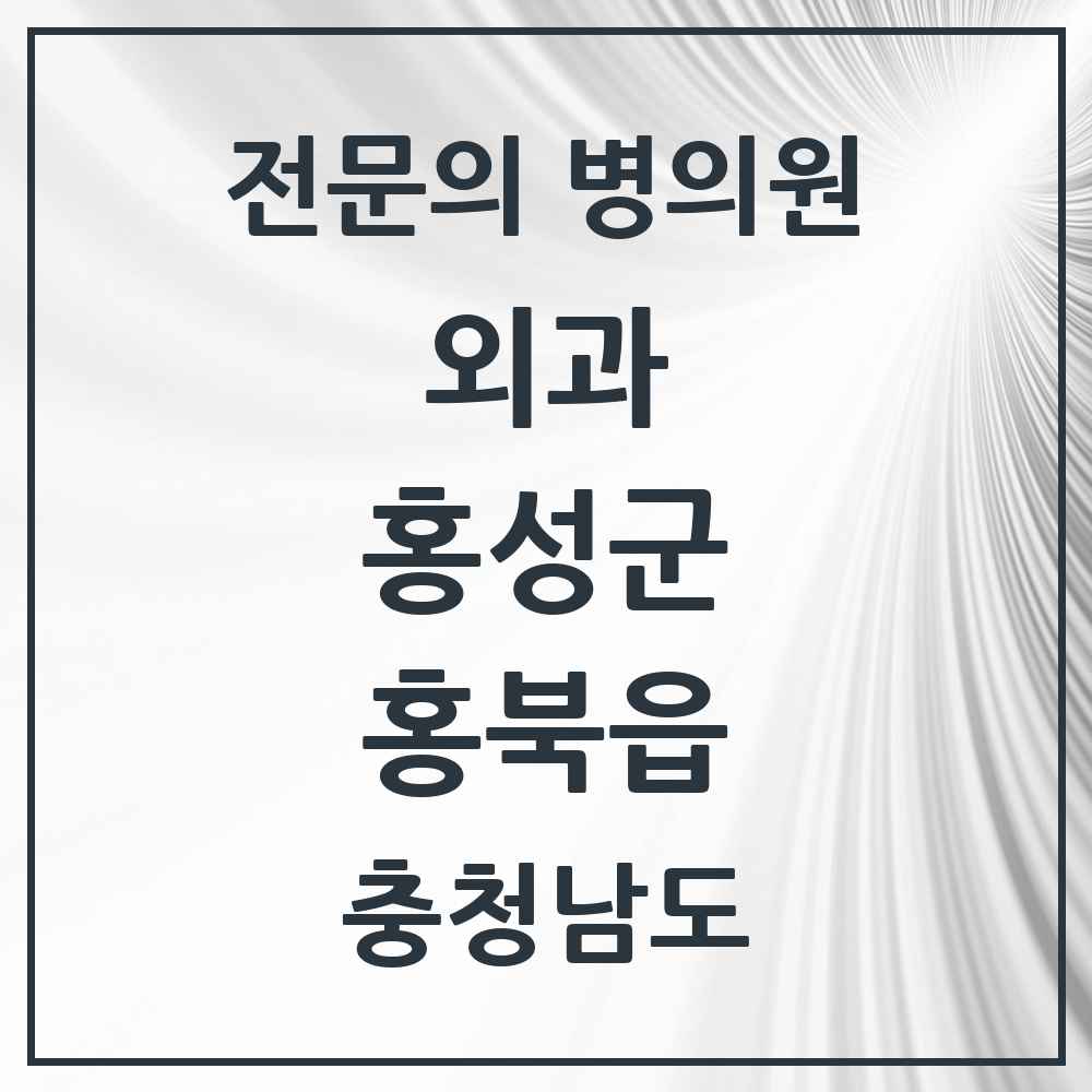 2025 충청남도 홍성군 홍북읍 외과 전문의 의원·병원 목록 1곳