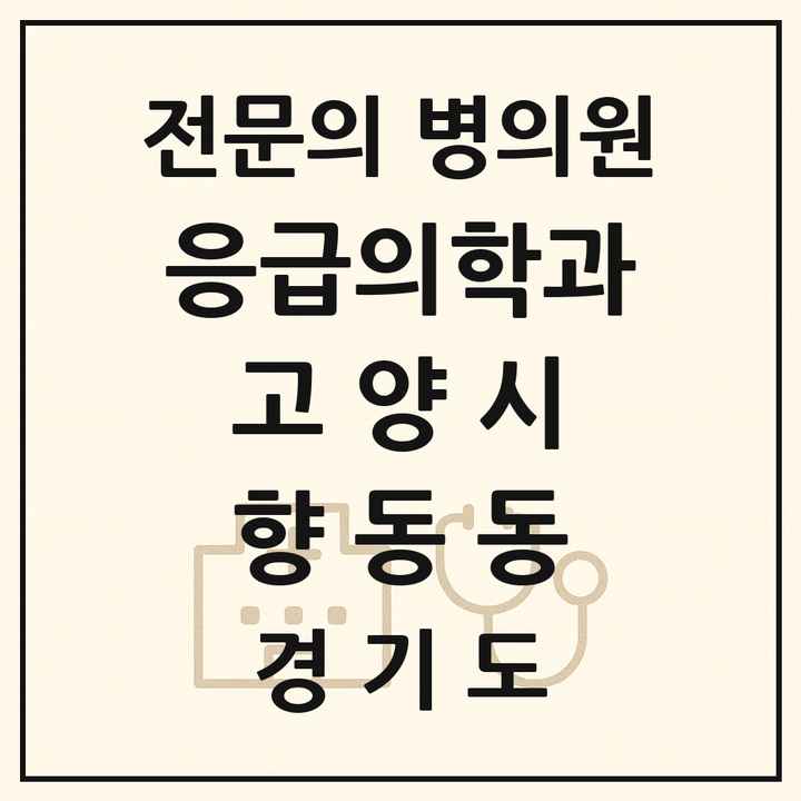 2026 경기도 고양시 향동동 응급의학과 전문의 의원·병원 목록 2곳
