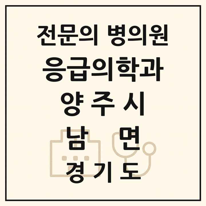 2026 경기도 양주시 남면 응급의학과 전문의 의원·병원 목록 1곳
