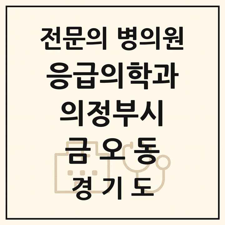 2026 경기도 의정부시 금오동 응급의학과 전문의 의원·병원 목록 2곳