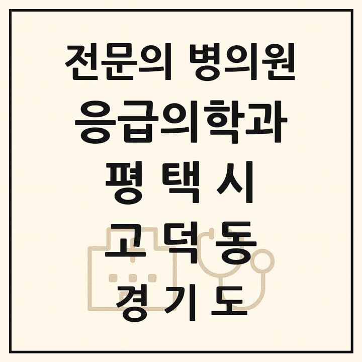 2026 경기도 평택시 고덕동 응급의학과 전문의 의원·병원 목록 1곳