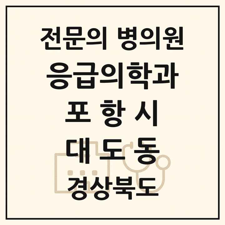 2026 경상북도 포항시 대도동 응급의학과 전문의 의원·병원 목록 1곳