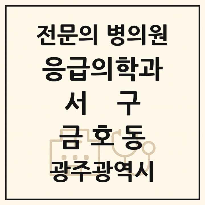2026 광주광역시 서구 금호동 응급의학과 전문의 의원·병원 목록 1곳