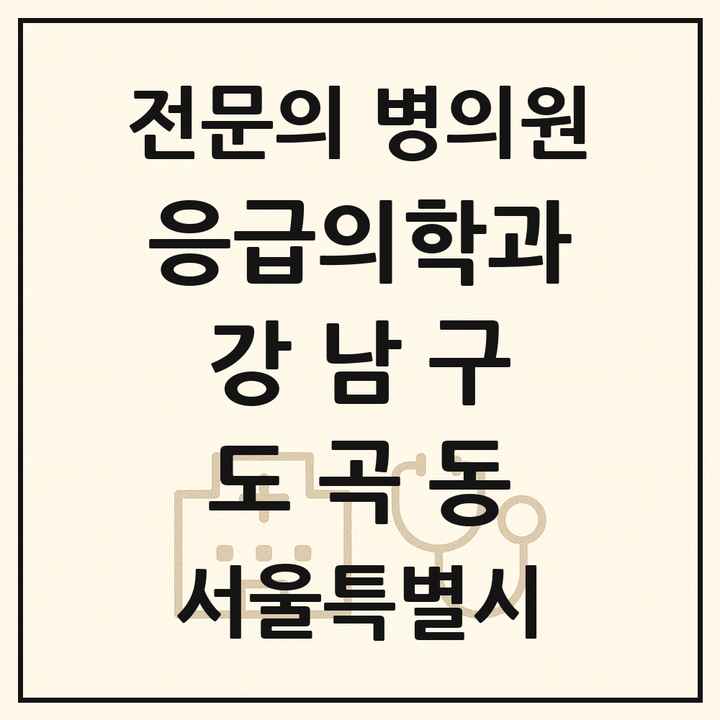 2026 서울특별시 강남구 도곡동 응급의학과 전문의 의원·병원 목록 2곳