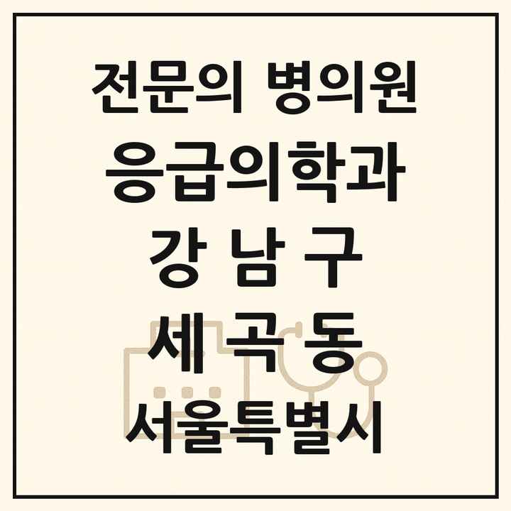 2026 서울특별시 강남구 세곡동 응급의학과 전문의 의원·병원 목록 1곳
