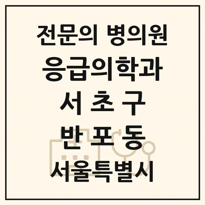 2026 서울특별시 서초구 반포동 응급의학과 전문의 의원·병원 목록 1곳