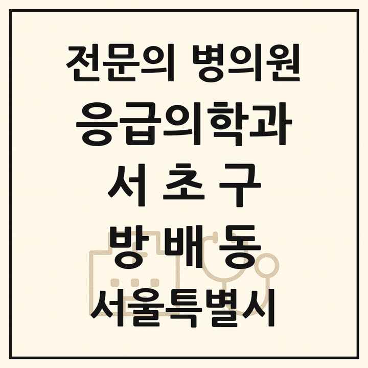 2026 서울특별시 서초구 방배동 응급의학과 전문의 의원·병원 목록 1곳