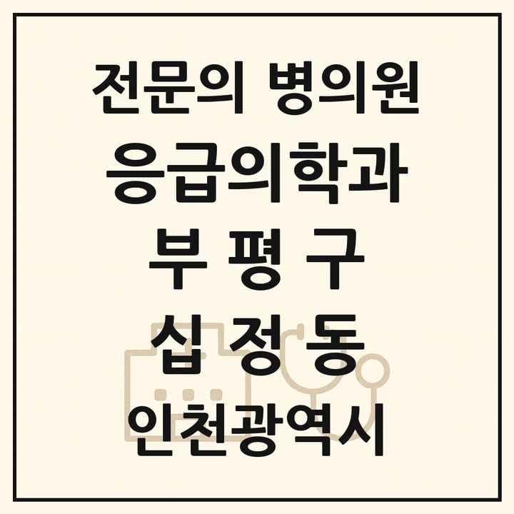 2026 인천광역시 부평구 십정동 응급의학과 전문의 의원·병원 목록 1곳