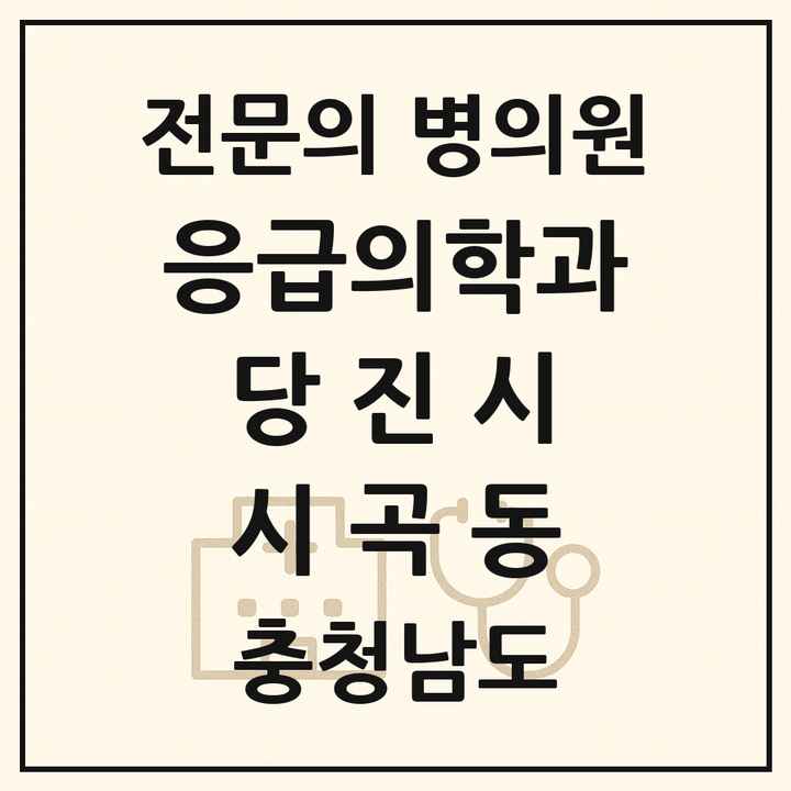 2026 충청남도 당진시 시곡동 응급의학과 전문의 의원·병원 목록 1곳