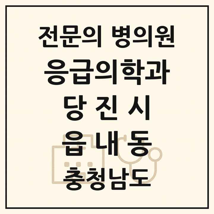 2026 충청남도 당진시 읍내동 응급의학과 전문의 의원·병원 목록 1곳