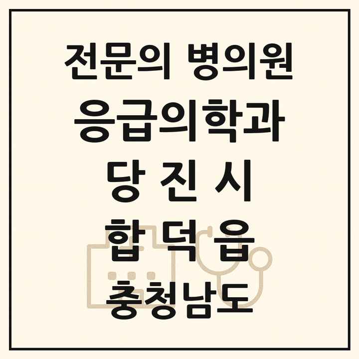 2026 충청남도 당진시 합덕읍 응급의학과 전문의 의원·병원 목록 1곳