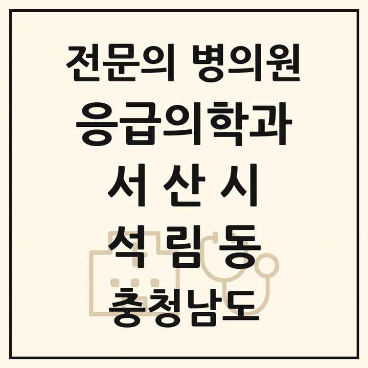2026 충청남도 서산시 석림동 응급의학과 전문의 의원·병원 목록 1곳