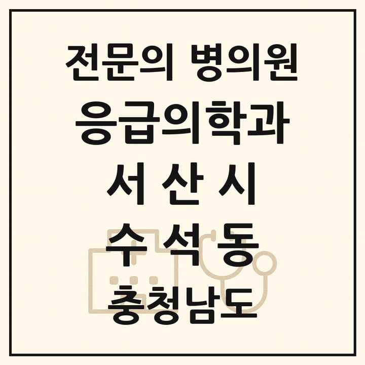 2026 충청남도 서산시 수석동 응급의학과 전문의 의원·병원 목록 1곳