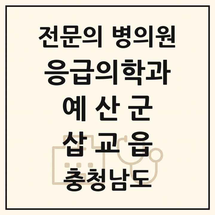 2026 충청남도 예산군 삽교읍 응급의학과 전문의 의원·병원 목록 1곳