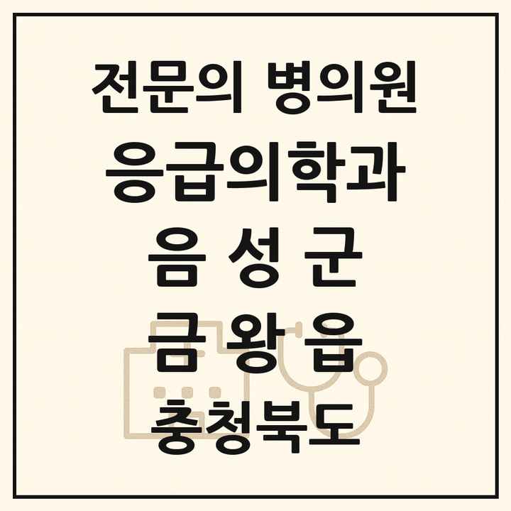 2026 충청북도 음성군 금왕읍 응급의학과 전문의 의원·병원 목록 1곳