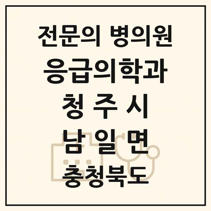 2026 충청북도 청주시 남일면 응급의학과 전문의 의원·병원 목록 1곳