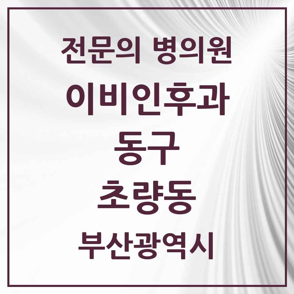 2025 부산광역시 동구 초량동 이비인후과 전문의 의원·병원 목록 2곳