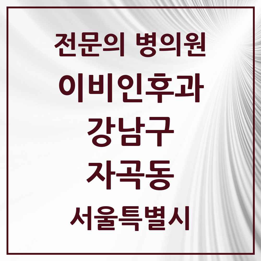2025 서울특별시 강남구 자곡동 이비인후과 전문의 의원·병원 목록 1곳