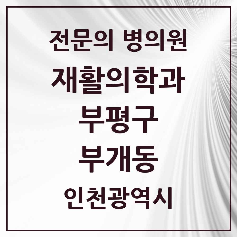 2025 인천광역시 부평구 부개동 재활의학과 전문의 의원·병원 목록 2곳