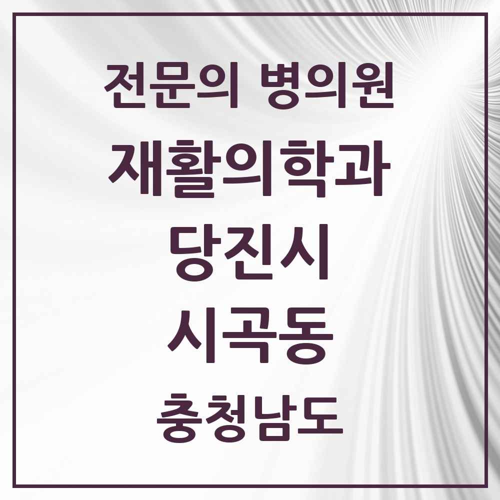 2025 충청남도 당진시 시곡동 재활의학과 전문의 의원·병원 목록 1곳